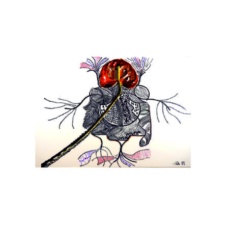 portfolio-image