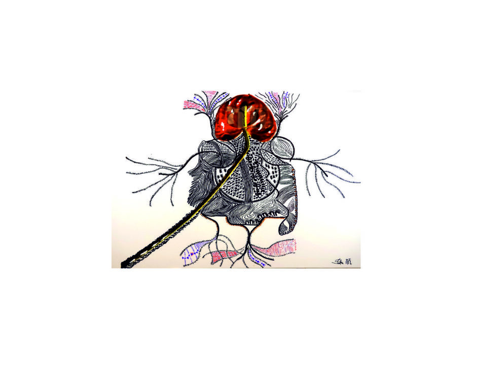 portfolio-image