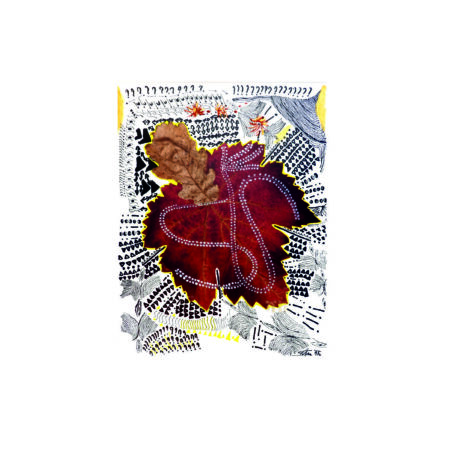 portfolio-image