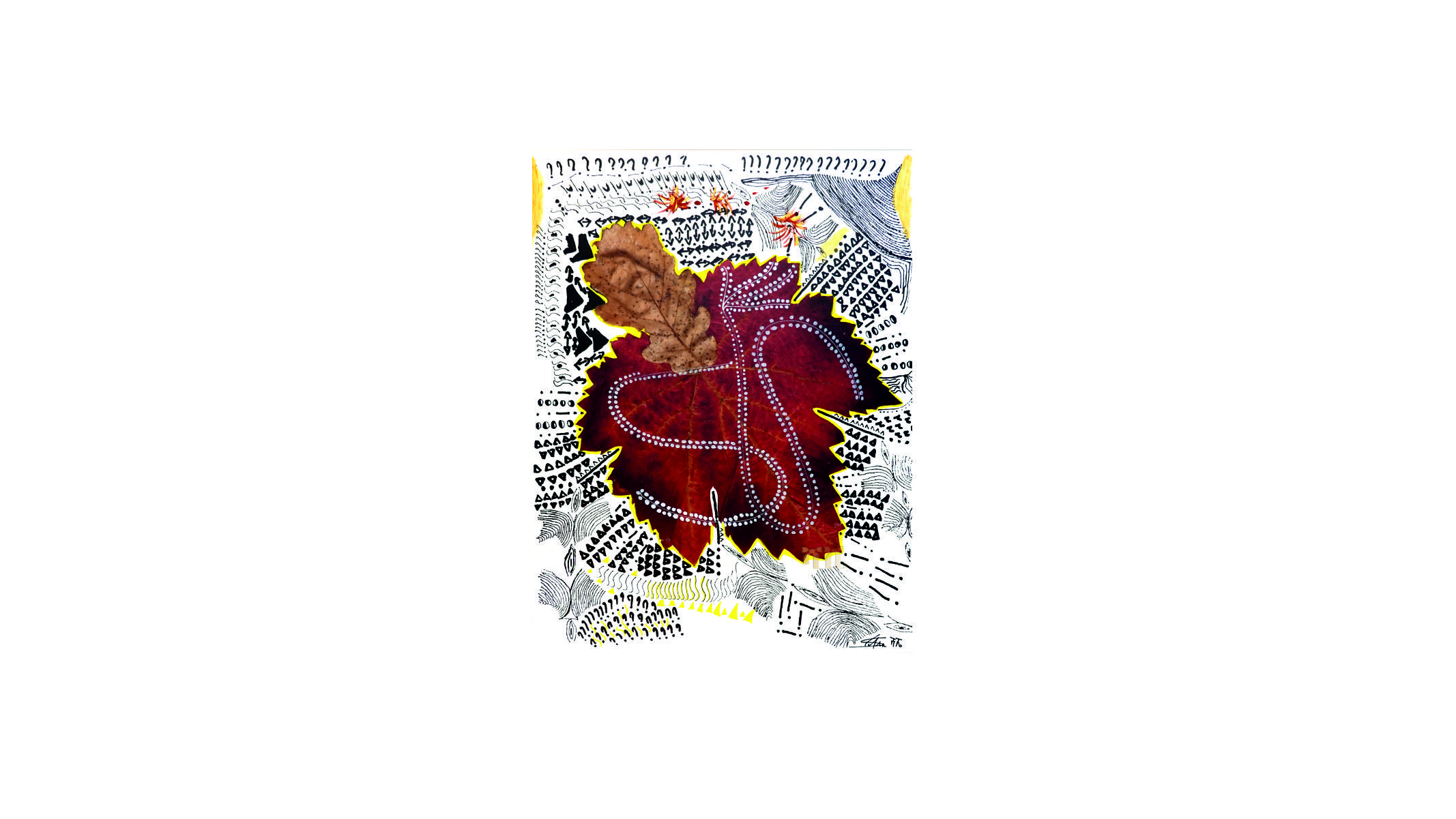 portfolio-image