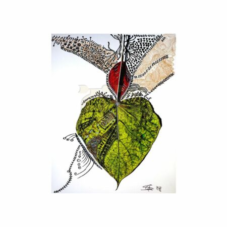 portfolio-image