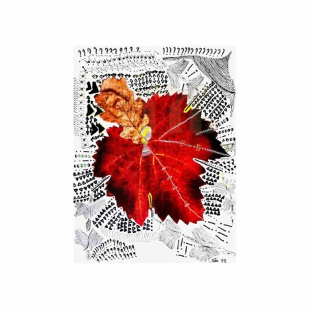 portfolio-image