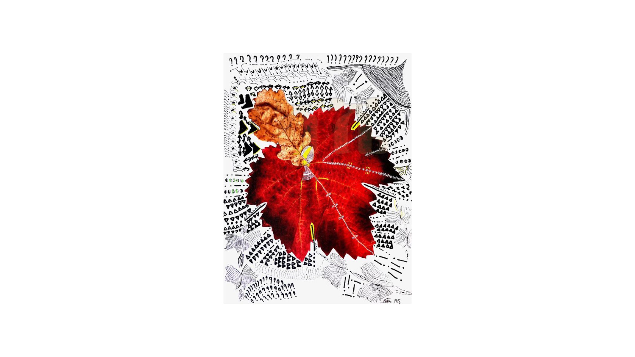 portfolio-image