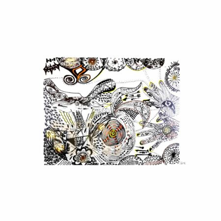 portfolio-image
