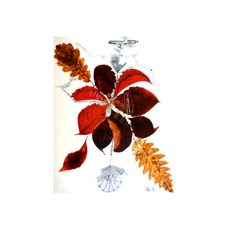 portfolio-image