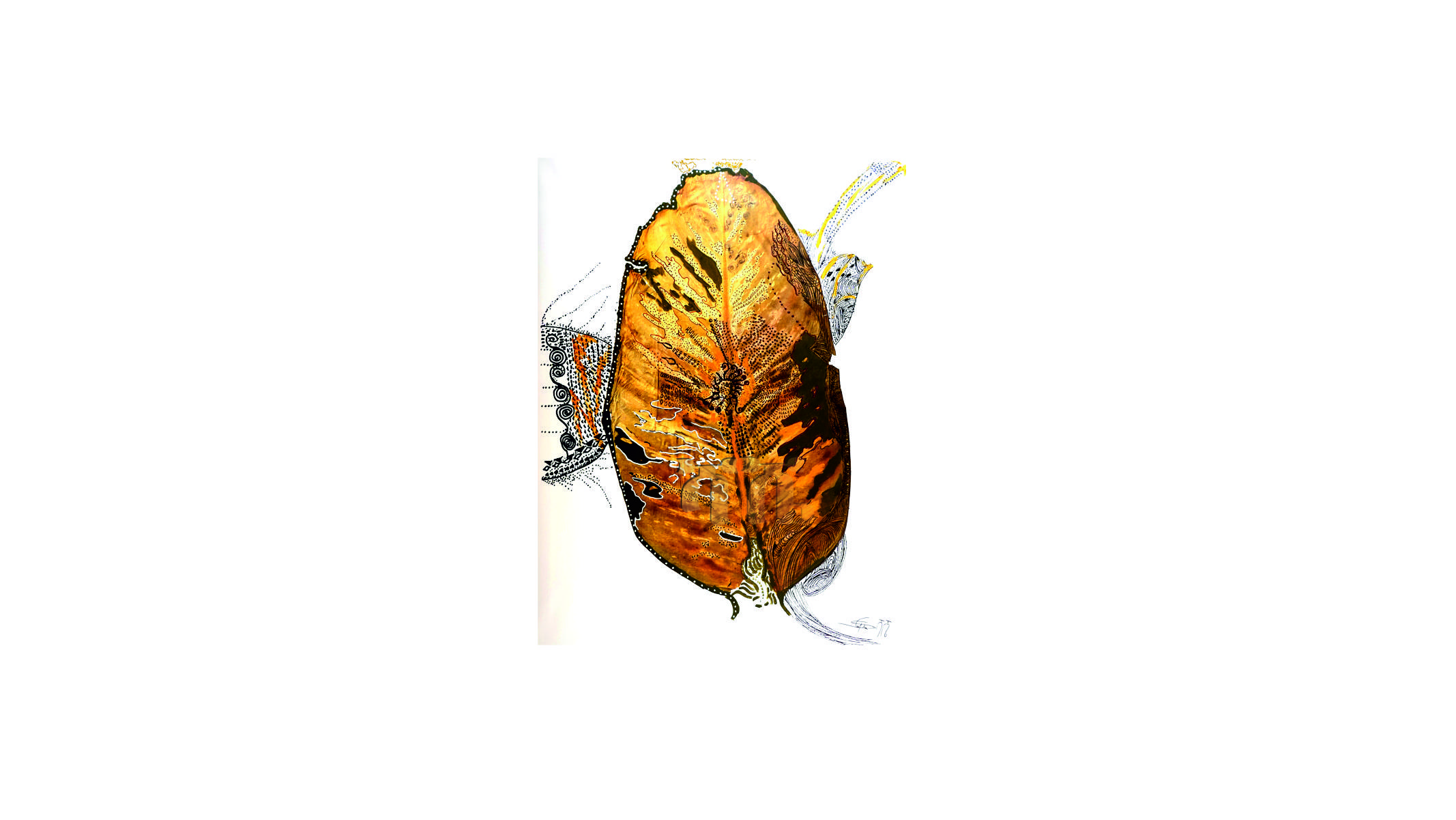 portfolio-image