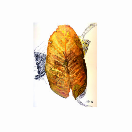 portfolio-image