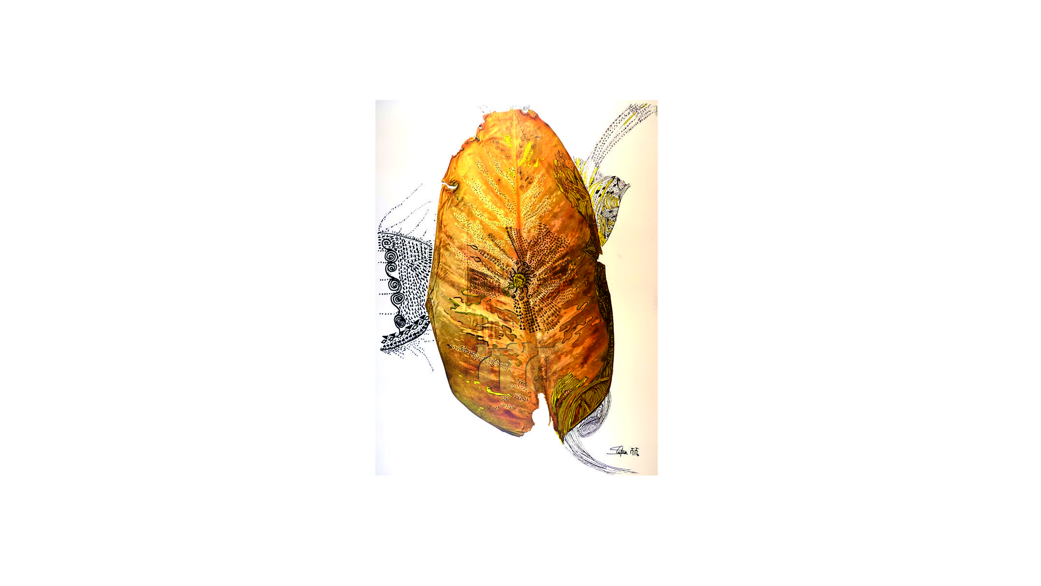 portfolio-image