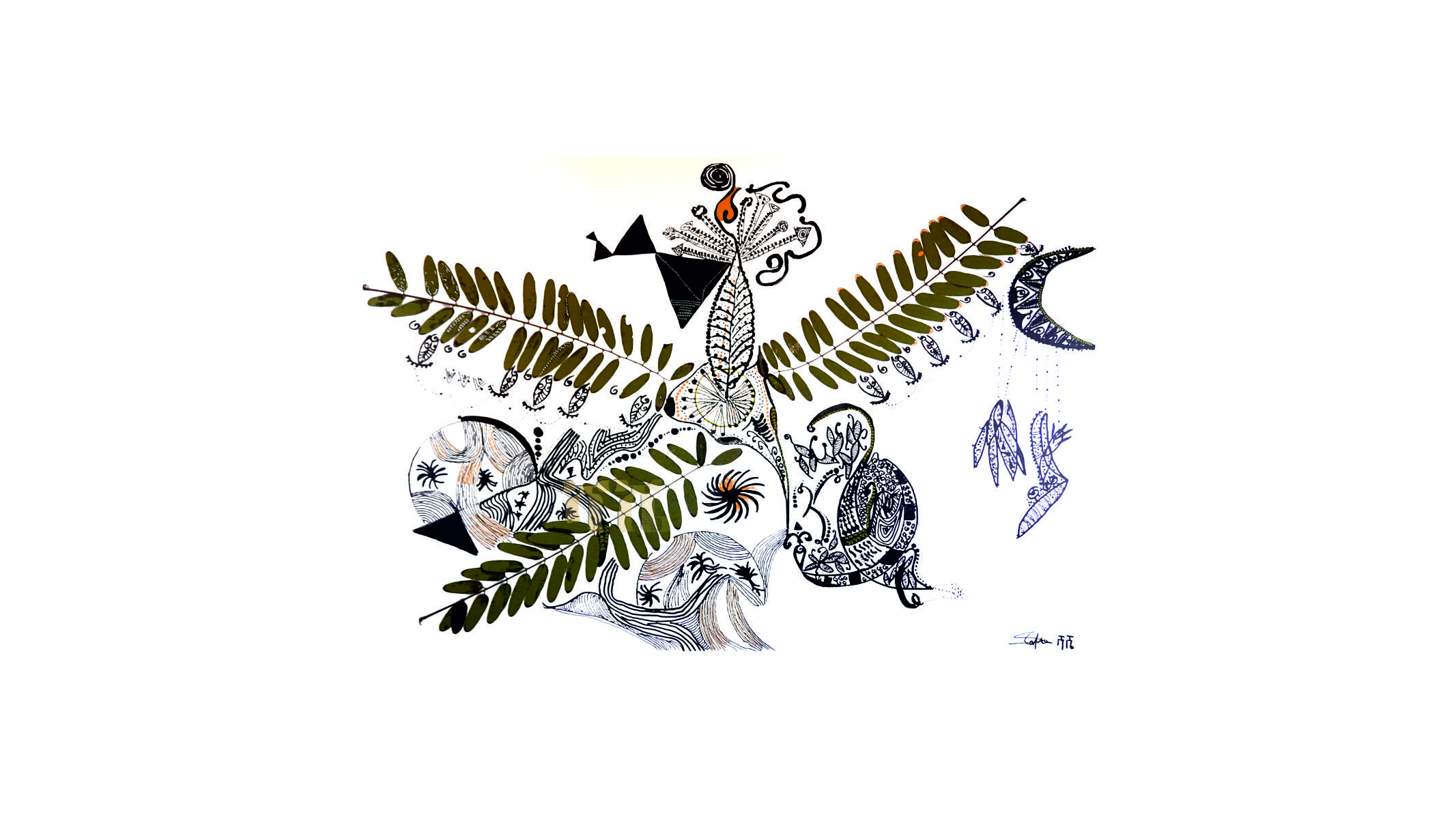 portfolio-image