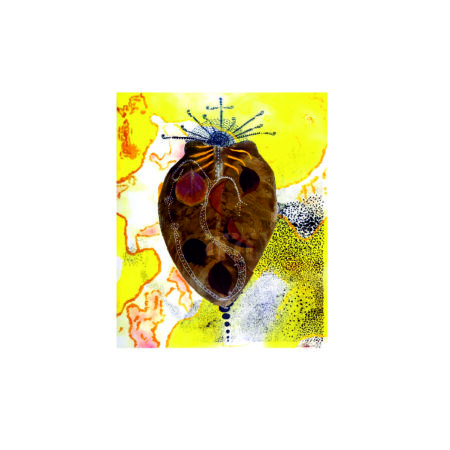 portfolio-image