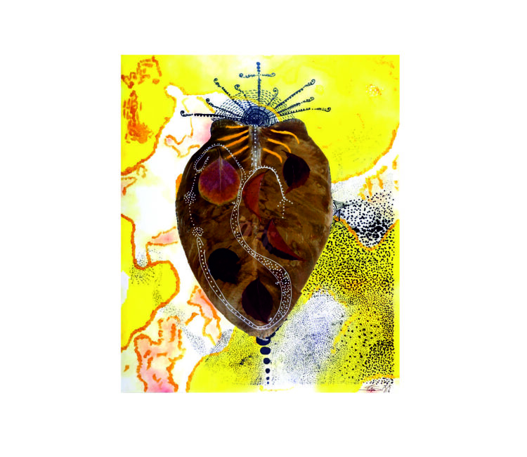 La Cimice