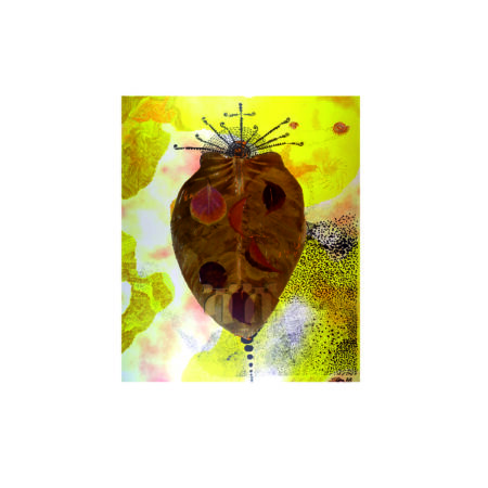 portfolio-image