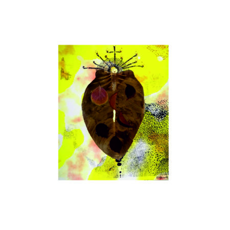 portfolio-image