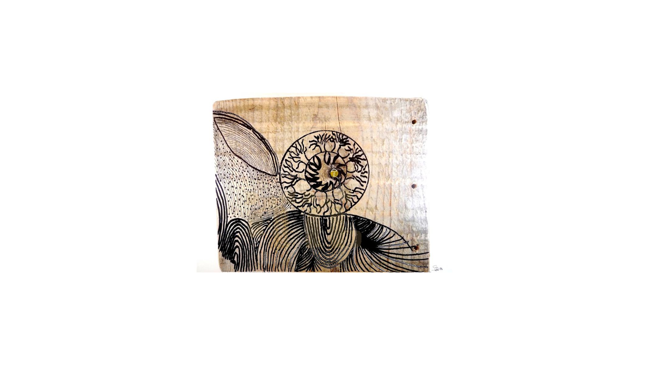 portfolio-image