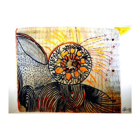 portfolio-image