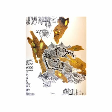 portfolio-image
