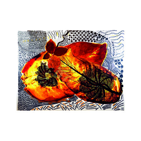 portfolio-image