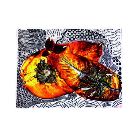 portfolio-image