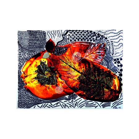 portfolio-image