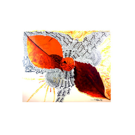 portfolio-image