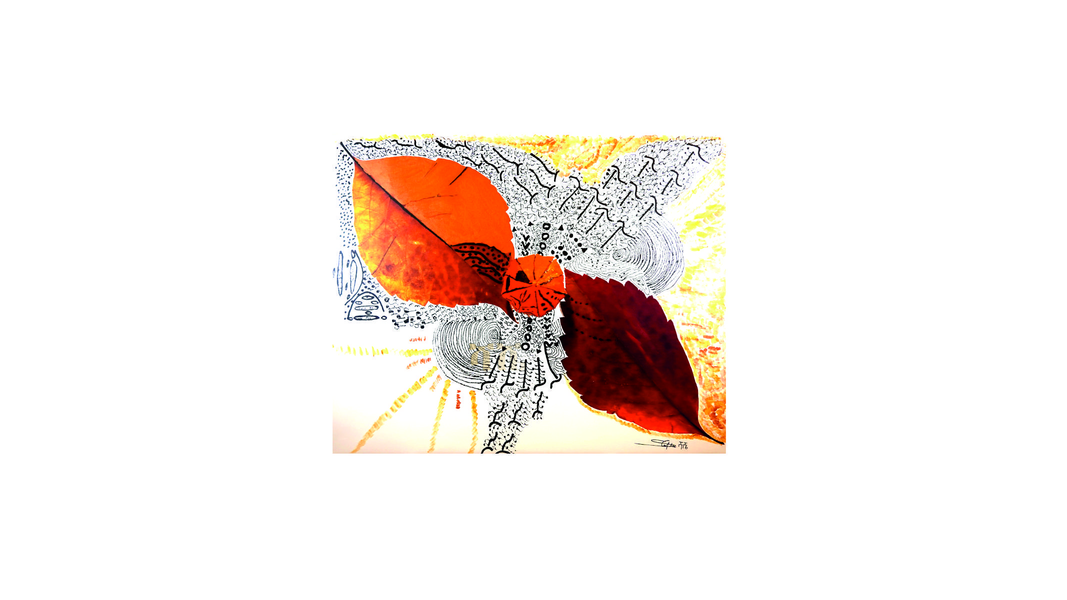 portfolio-image