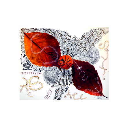 portfolio-image