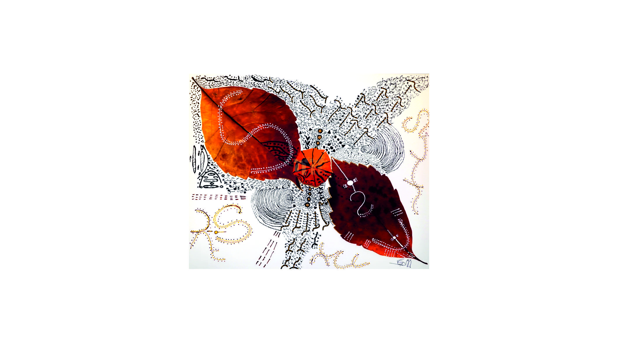 portfolio-image