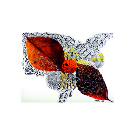 portfolio-image