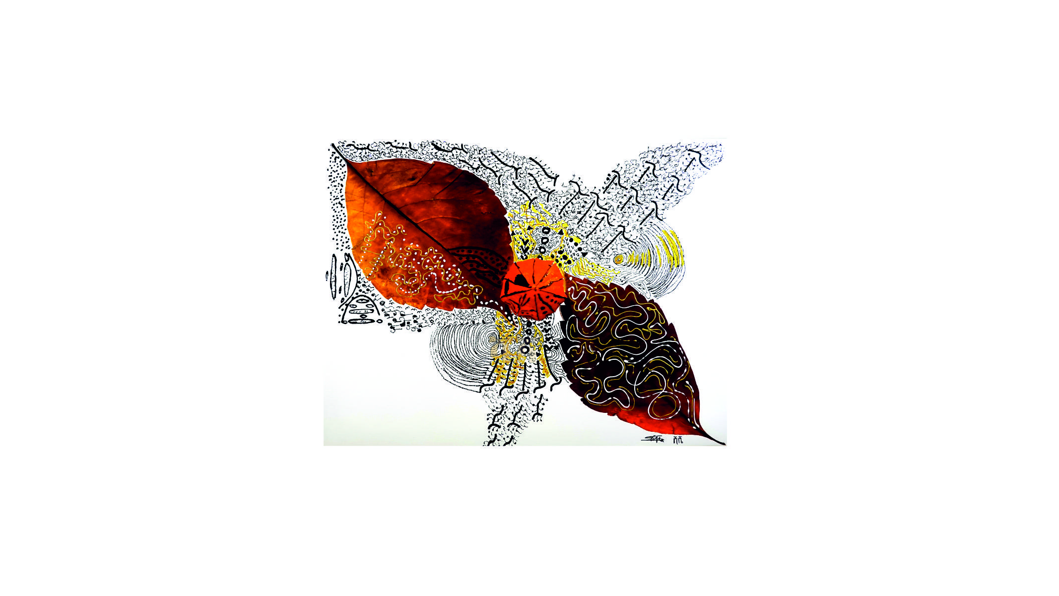 portfolio-image
