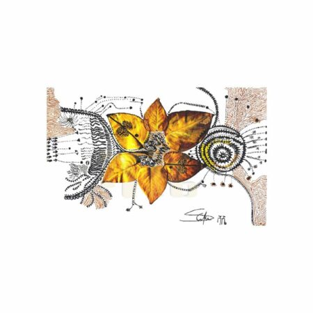 portfolio-image