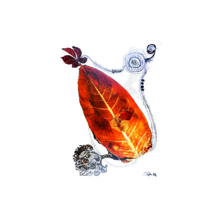 portfolio-image