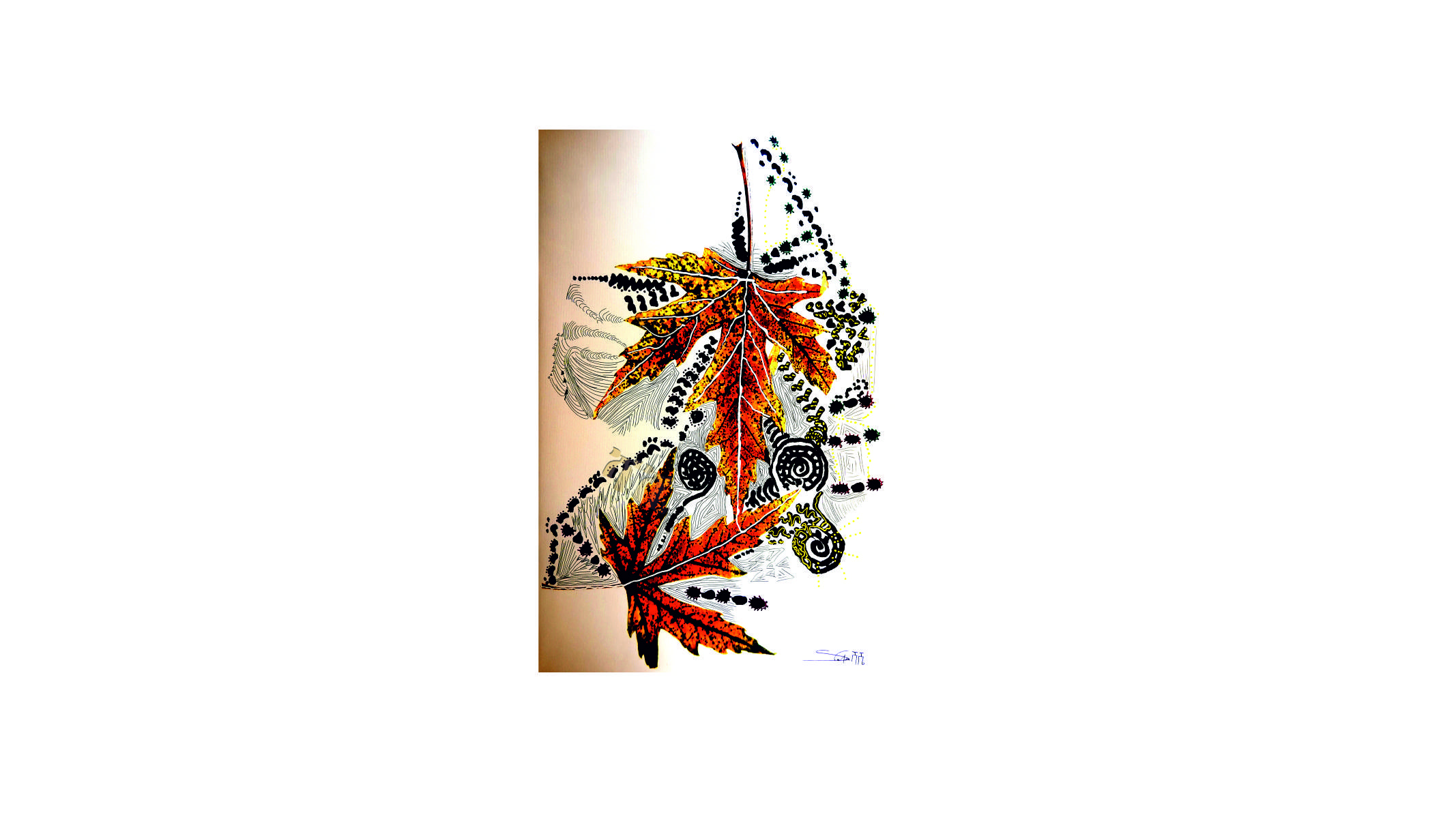 portfolio-image