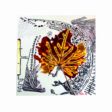 portfolio-image