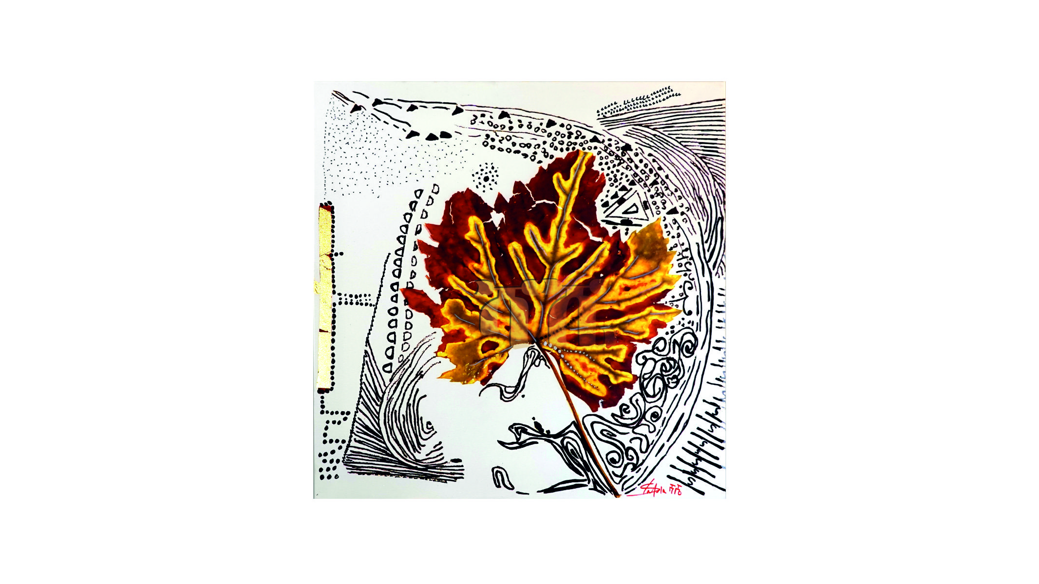 portfolio-image