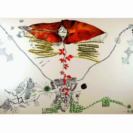 portfolio-image