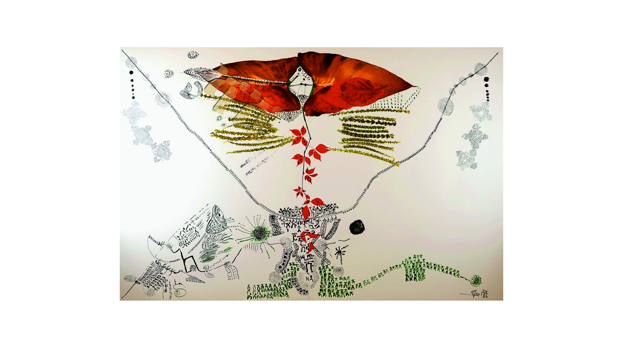 portfolio-image