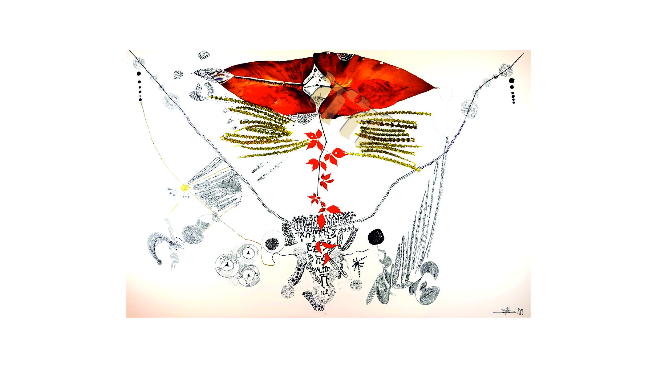 portfolio-image